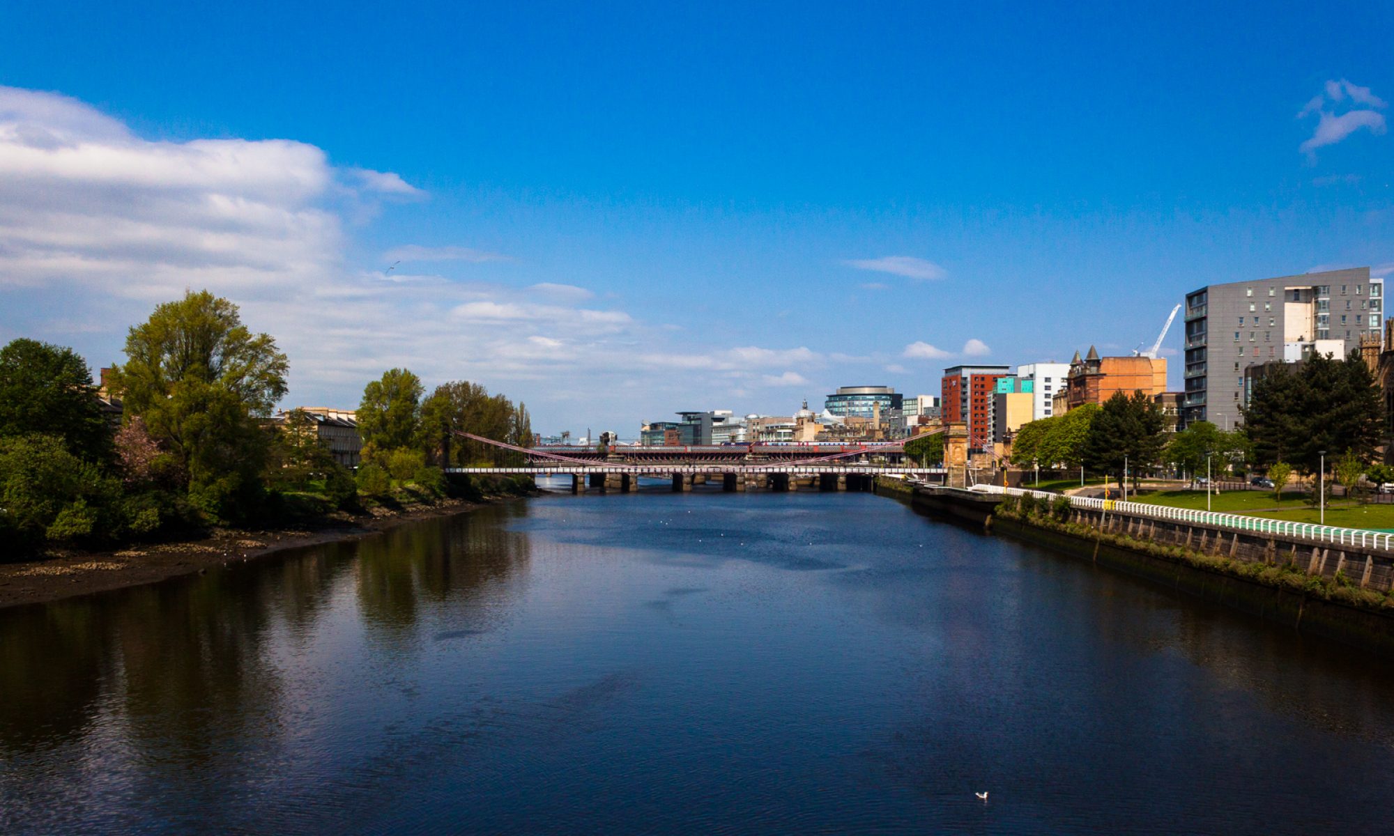 Bertie Baggio's Wonderland